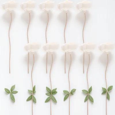 Home Fragrance Set - 10pcs Rattan Diffuser Sticks Aroma Reed