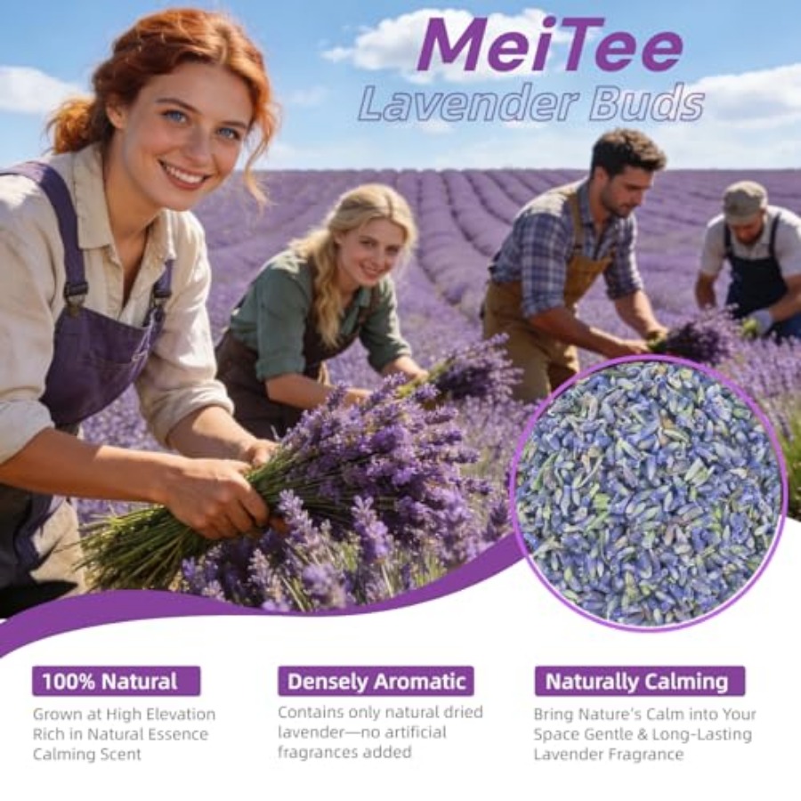 20 Pack Lavender Sachet Bags - - Home Fragrance In French 리뷰 및 가격