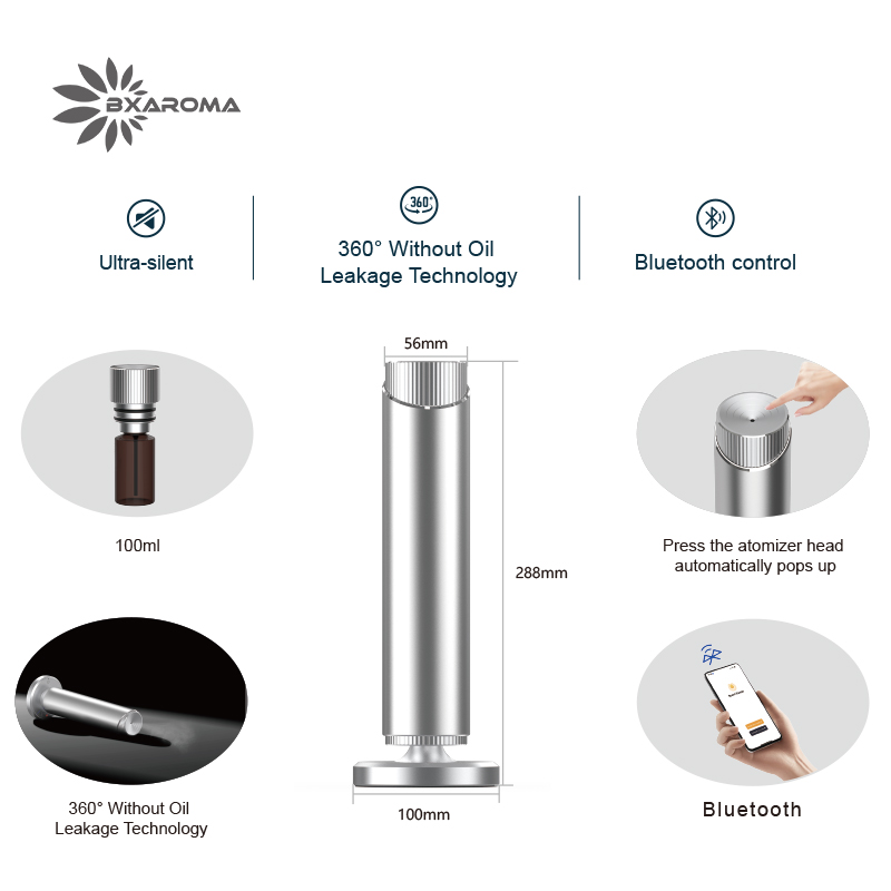 Silver Aromatherapy Essential  - Home Fragrance Market 리뷰 및 가격