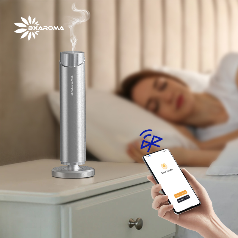 Silver Aromatherapy Essential  - Home Fragrance Market 리뷰 및 가격