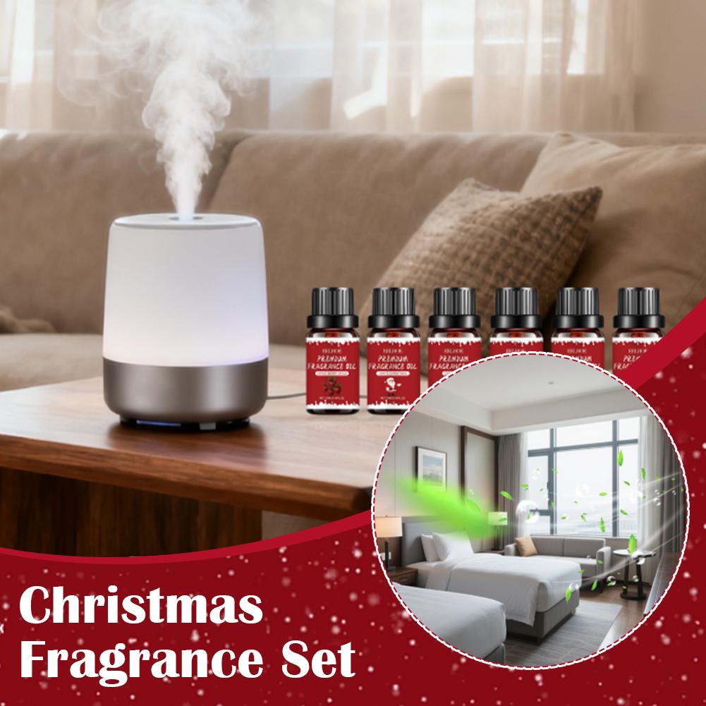Luxury Christmas Premium Frag - Home Fragrance Set 리뷰 및 가격