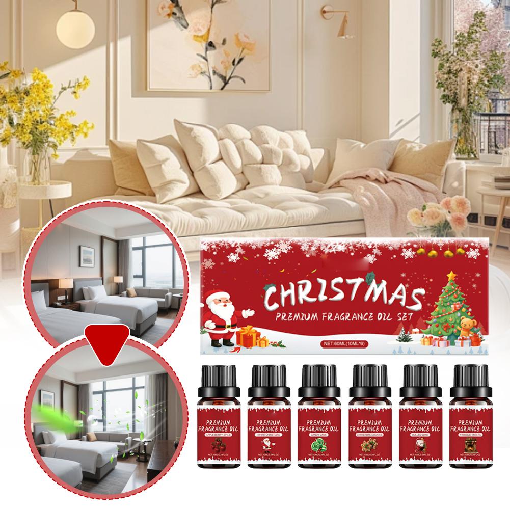 Luxury Christmas Premium Frag - Home Fragrance Set 리뷰 및 가격