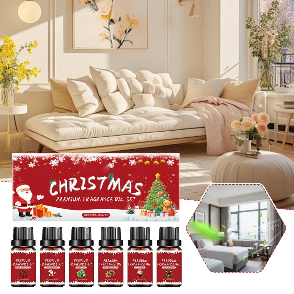 Luxury Christmas Premium Frag - Home Fragrance Set 리뷰 및 가격