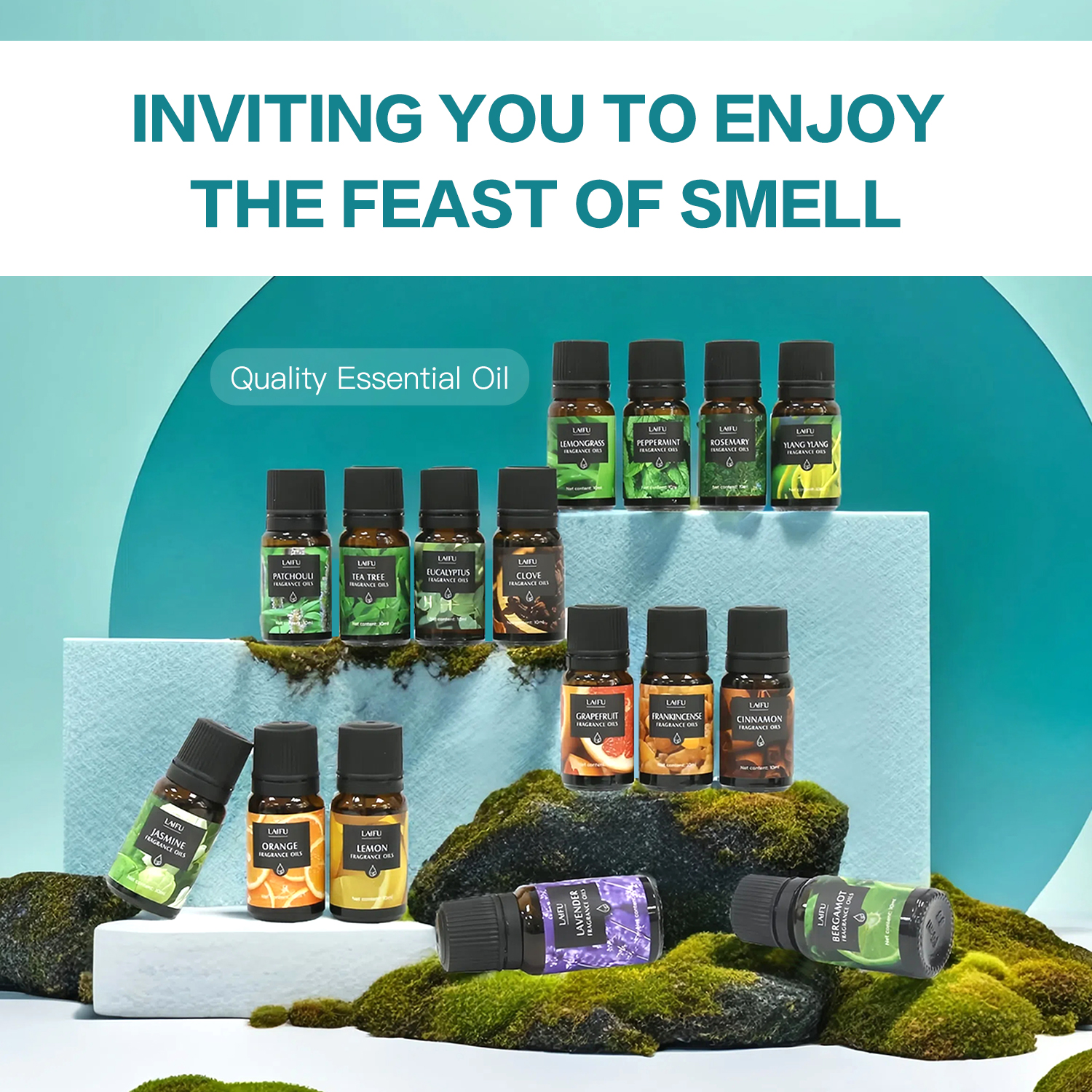 16x10ml Essential Oils Set for - Home Fragrance Set 리뷰 및 가격