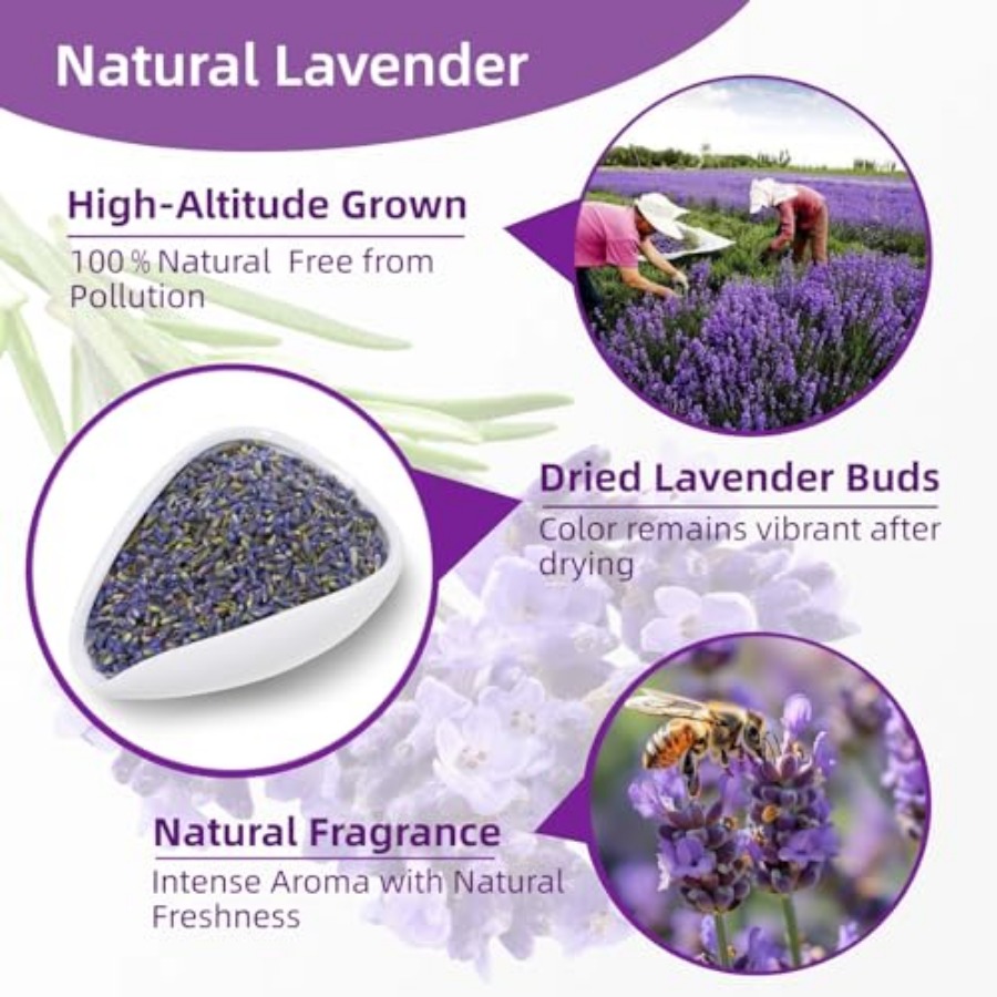 36 Pack Lavender Sachet Bags - - Home Fragrance In French 리뷰 및 가격