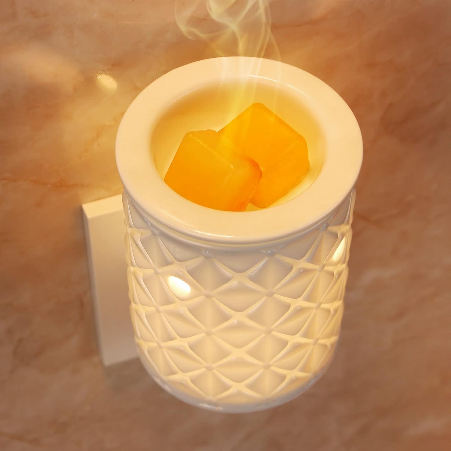 Plug in Wax Melt Warmer, Ceram - Fragrance Home Decor 리뷰 및 가격