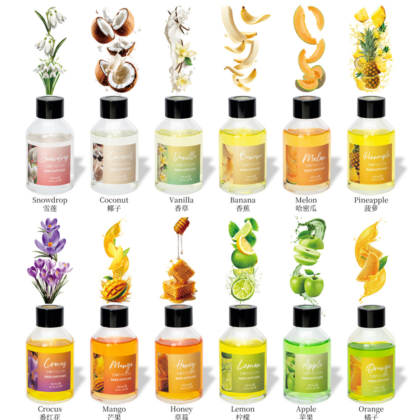 100ml Floral Fruity Reed Diffu - Home Fragrance Set 리뷰 및 가격